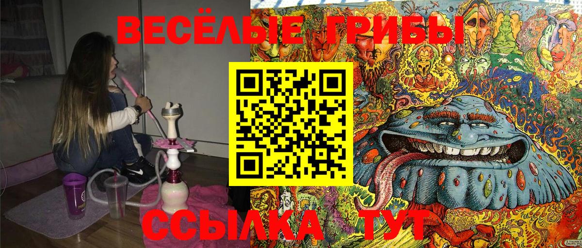 наркота  Галлюциногенные грибы MAGIC MUSHROOMS  Вход с VPN  Саянск 